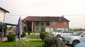 il salice